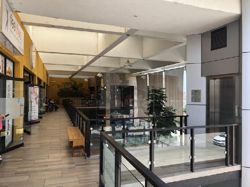 Local en Renta en Planta Baja en Arbide, León Gto Plaza comercial Blvd. Algeciras,mntto incuido