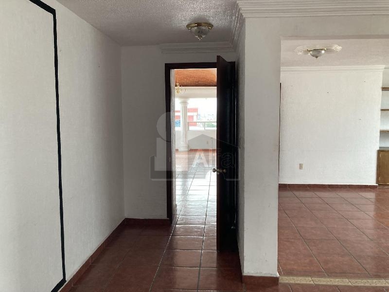 Oficina en Renta 3ra Planta sobre Av. Luis Vega y Monroy