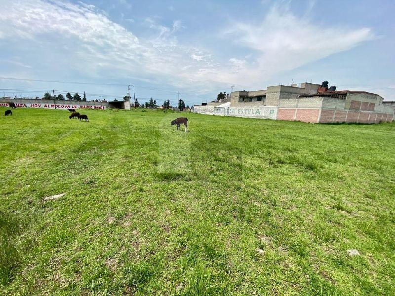 Terreno habitacional en venta en Ecológico SUTEYM, Almoloya de Juárez, México