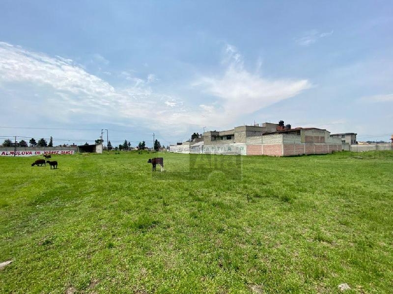 Terreno habitacional en venta en Ecológico SUTEYM, Almoloya de Juárez, México