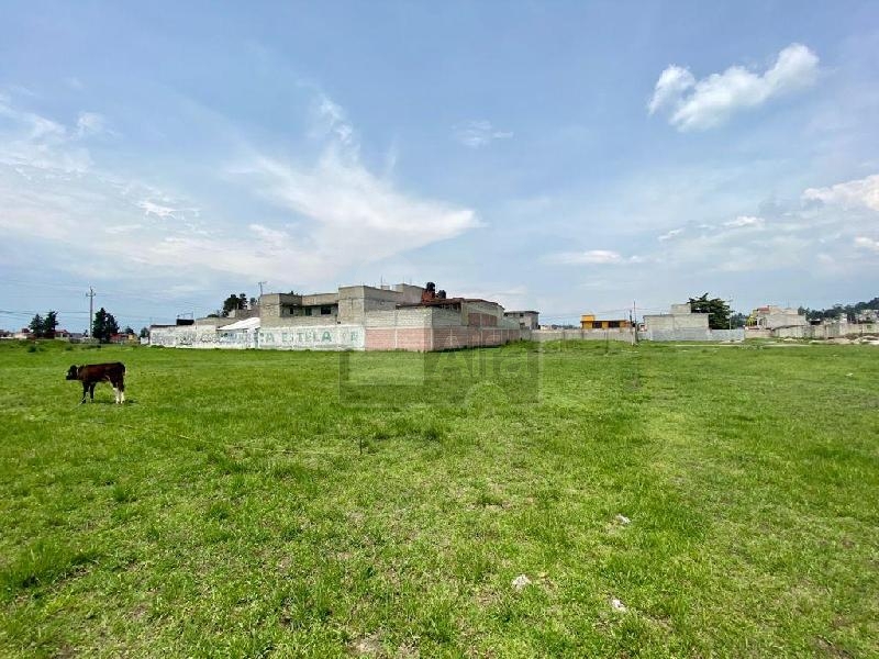 Terreno habitacional en venta en Ecológico SUTEYM, Almoloya de Juárez, México