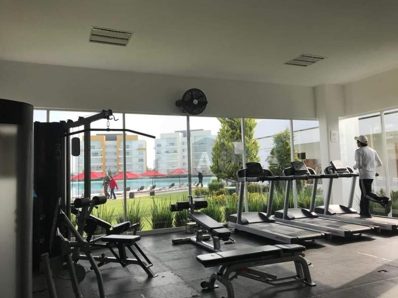 Departamento en renta en Metepec, Residencial Foresta Dreams Lagoons