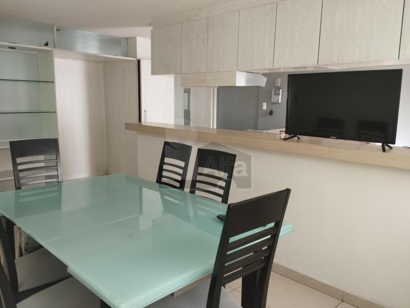 Casa en renta - Fuentes del pescador - Tecamachalco