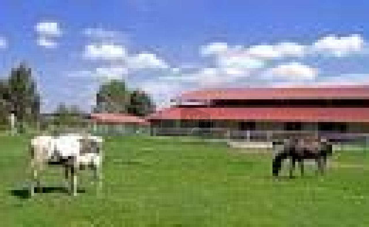 Terreno en venta Valle de los Reyes, Fracc Residencial Campestre Carr León Gto / Lagos de Moreno Jal