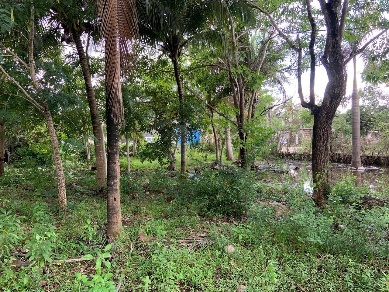 Terreno en Venta en Bonfil, Cancun Quintana Roo  