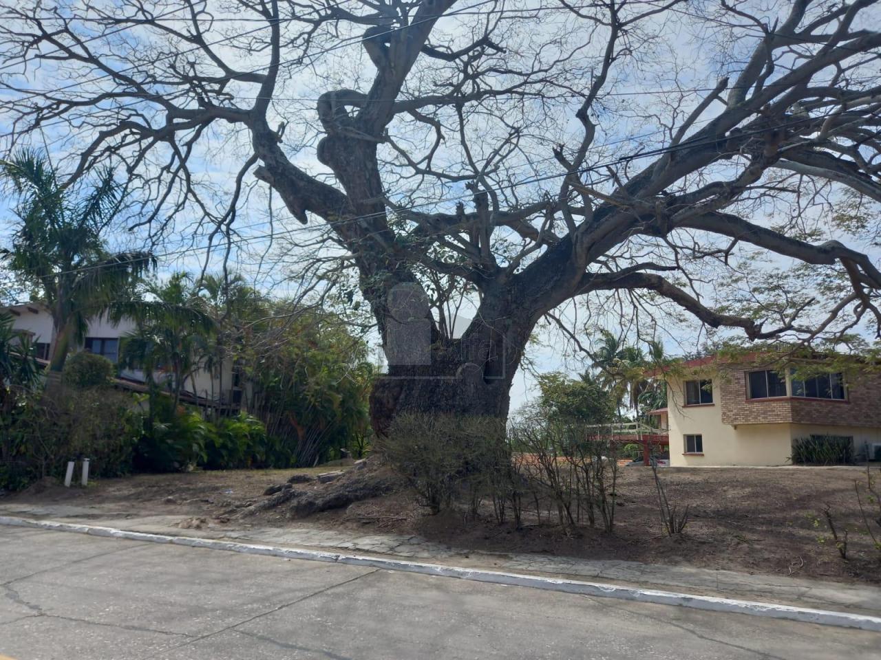 Terreno habitacional en venta en Flores, Tampico, Tamaulipas