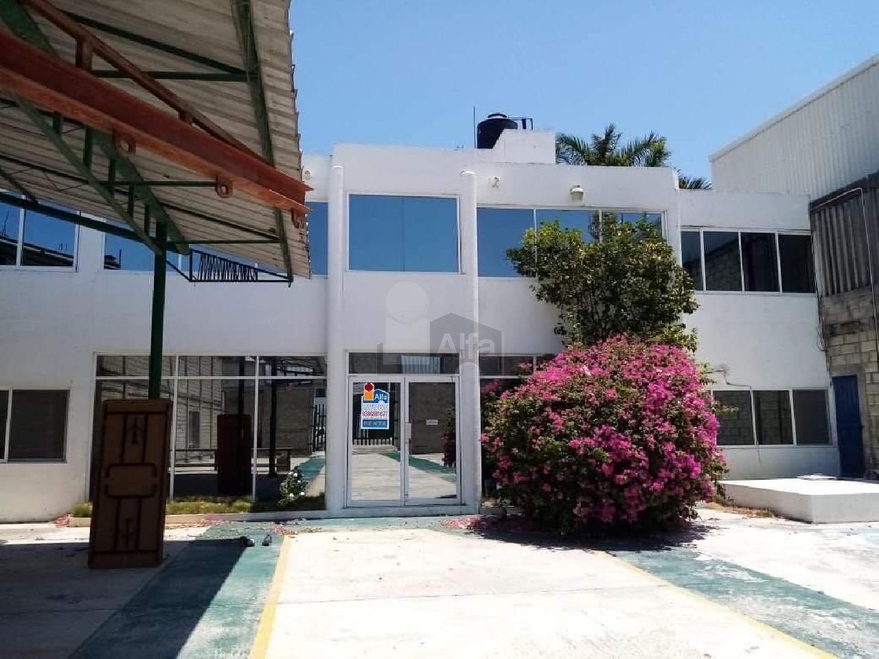 Renta Comercial San Agustin del Palmar - Carmen