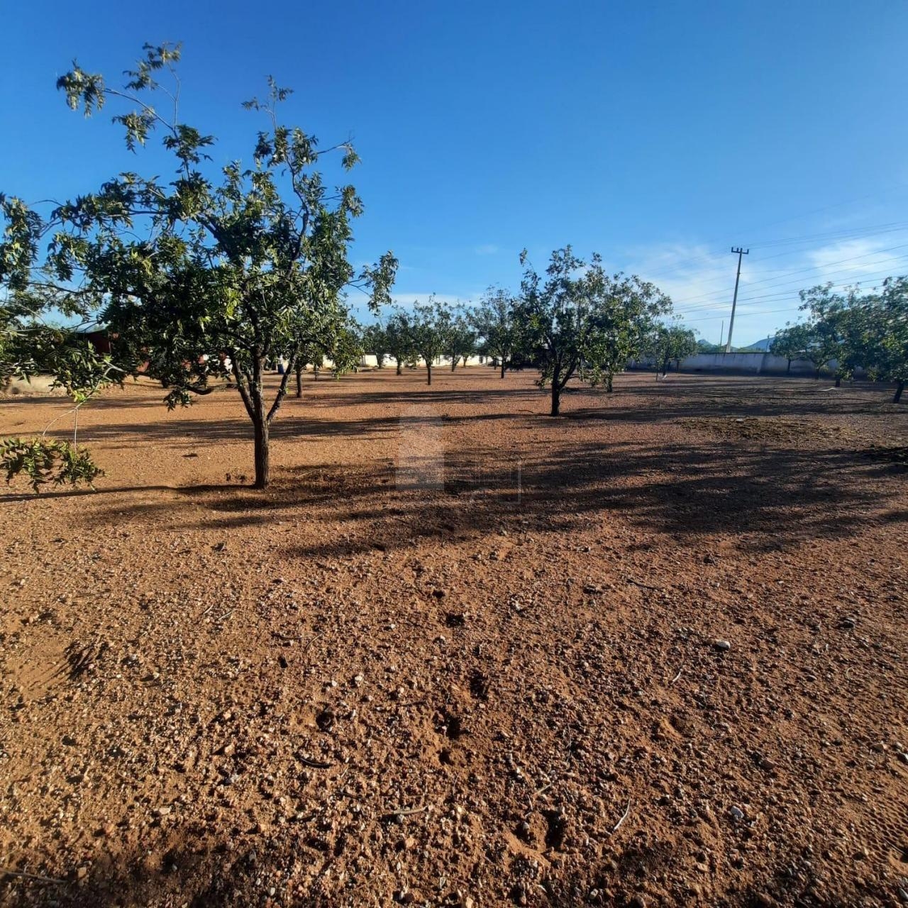 Terreno en venta en Valle de Chihuahua, Chihuahua, Chihuahua