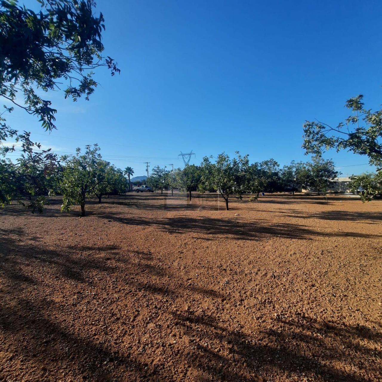 Terreno en venta en Valle de Chihuahua, Chihuahua, Chihuahua