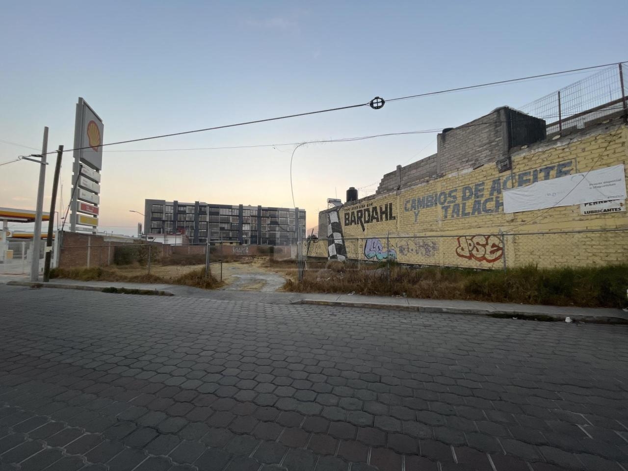 bg