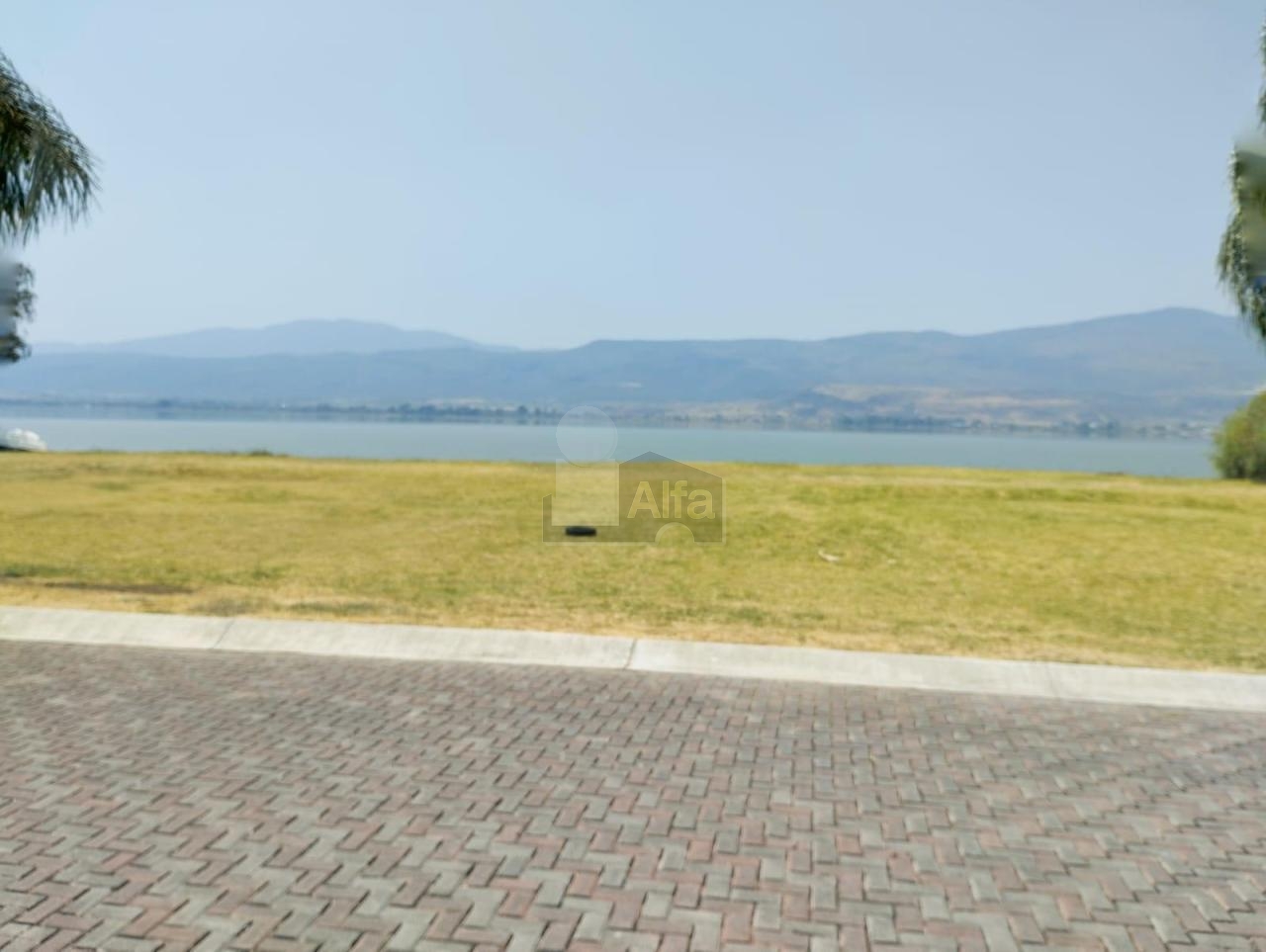 bg