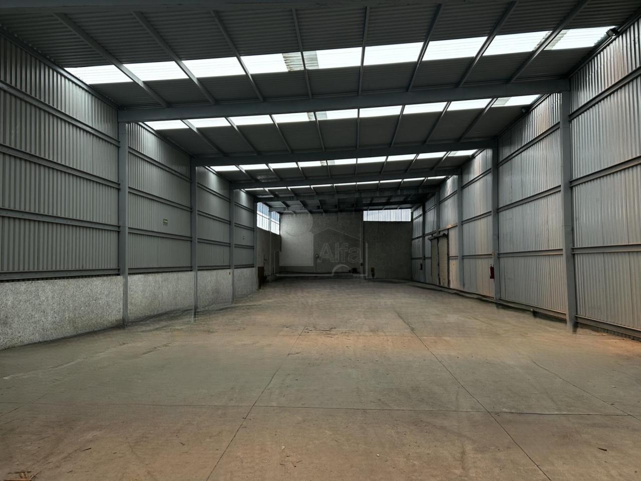 bg