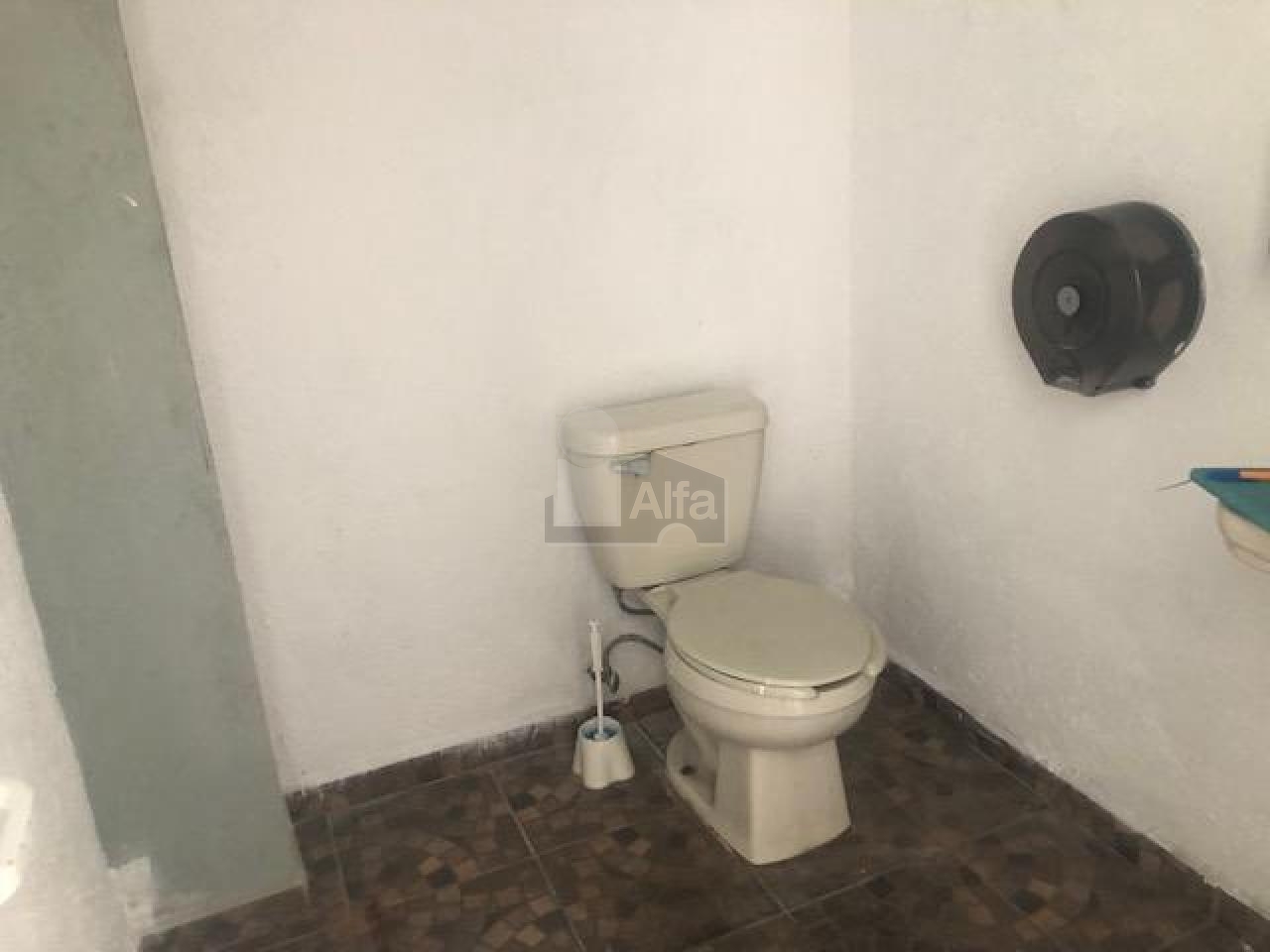 bg