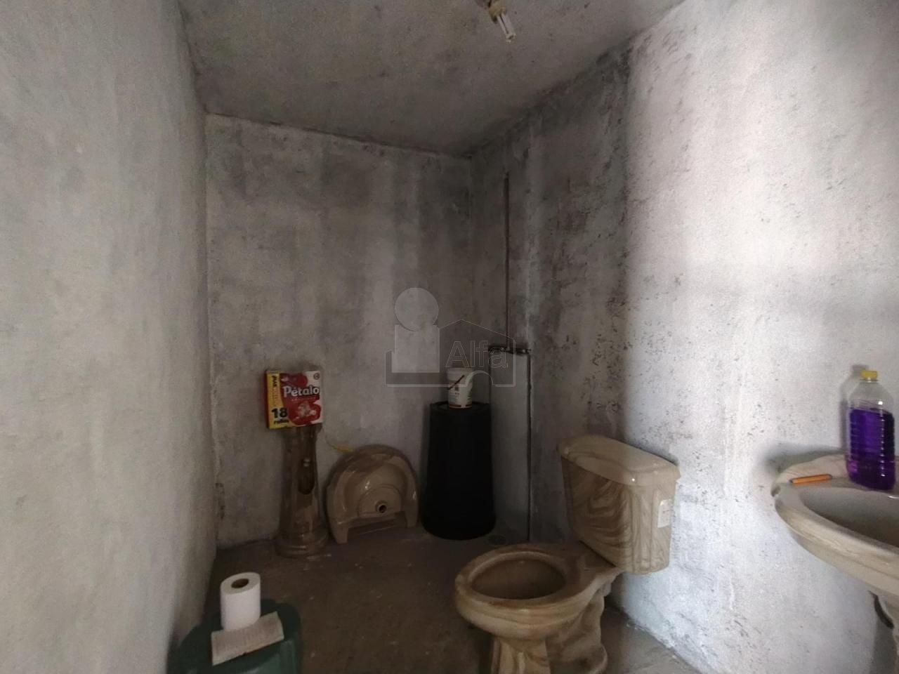 bg