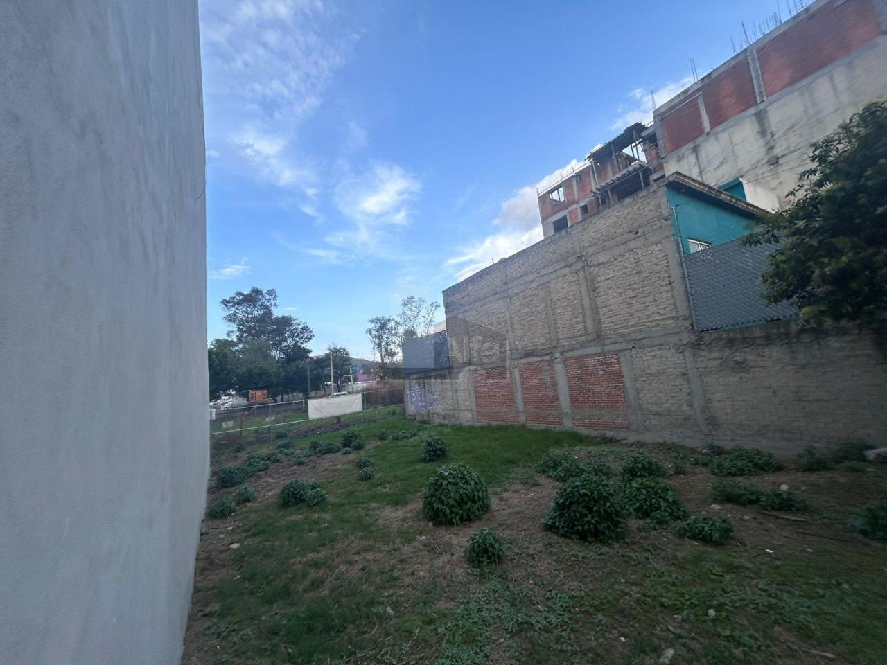 bg