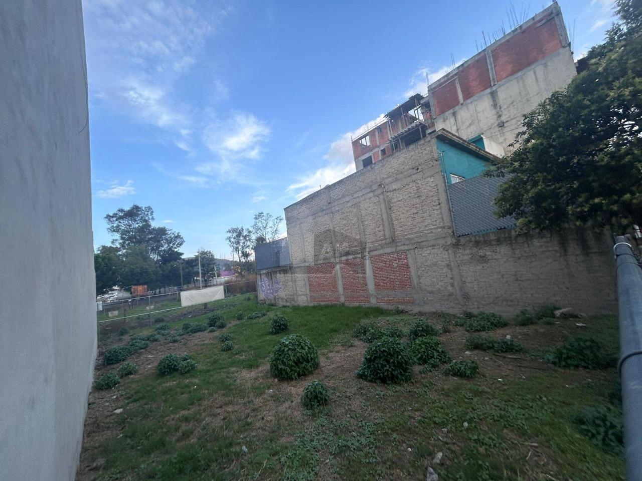 bg