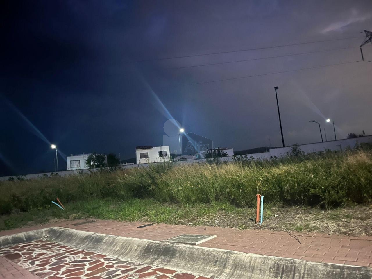 bg