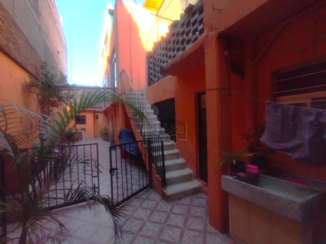 bg