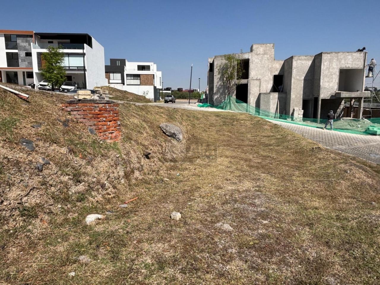 bg