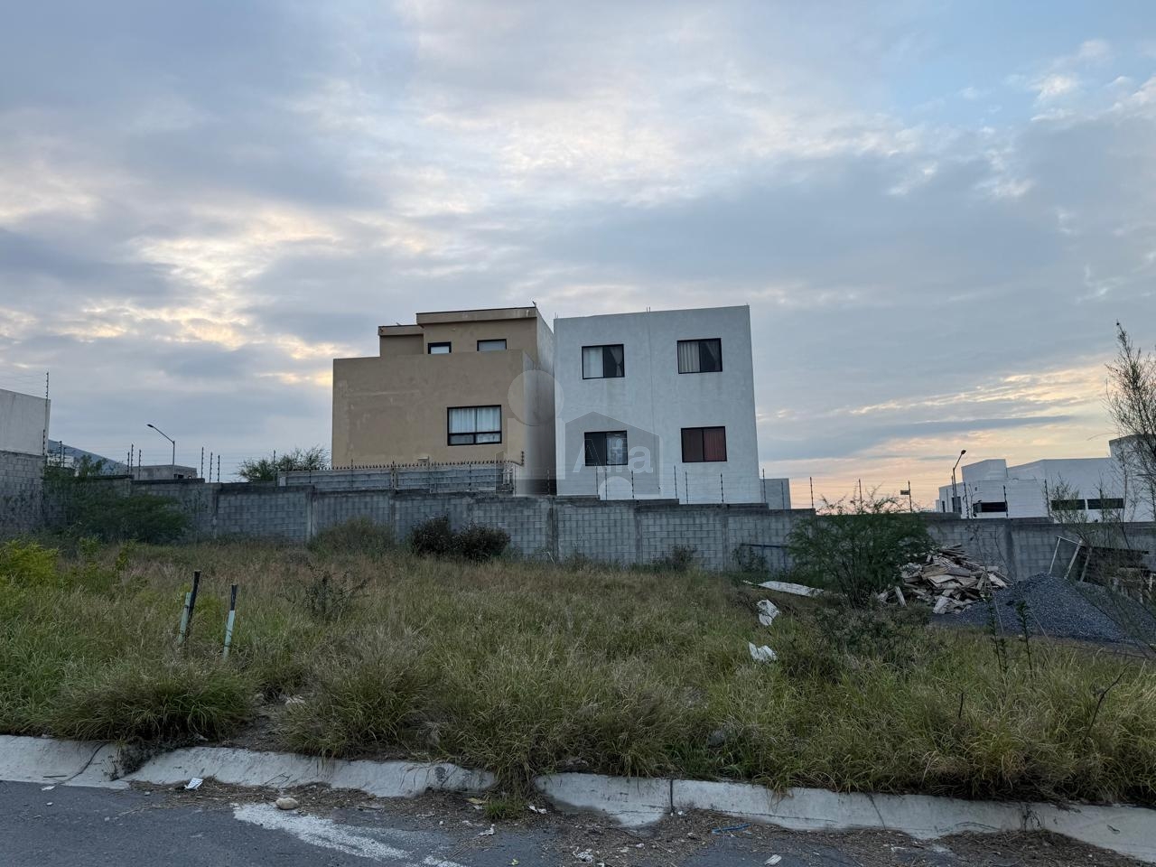 bg