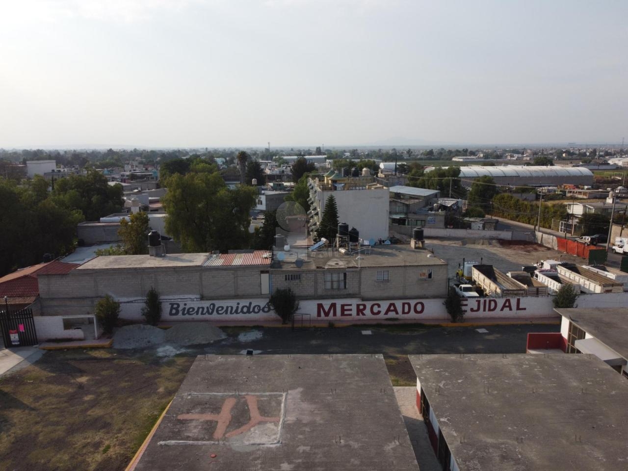 bg