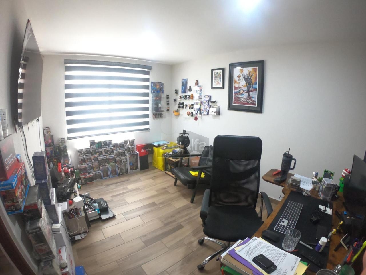 bg