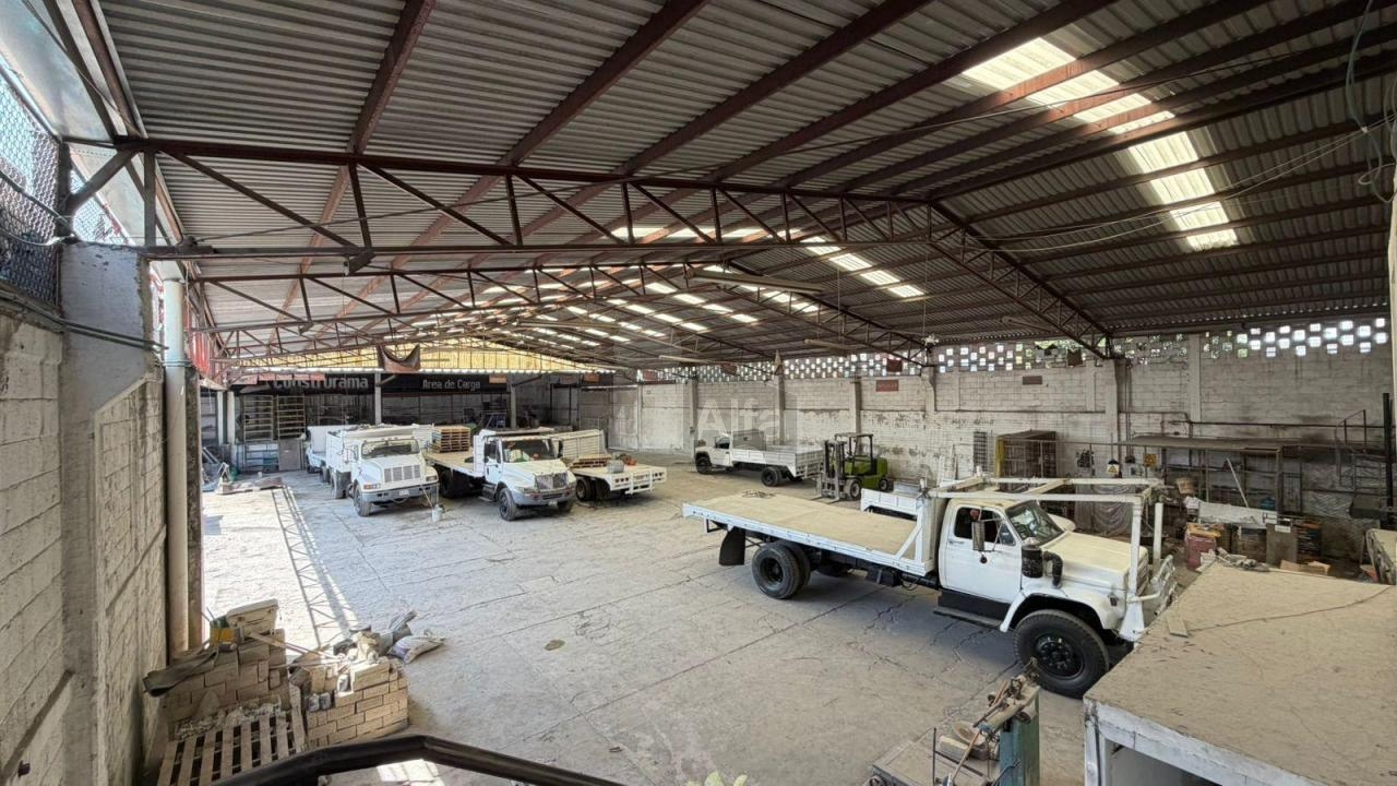 bg