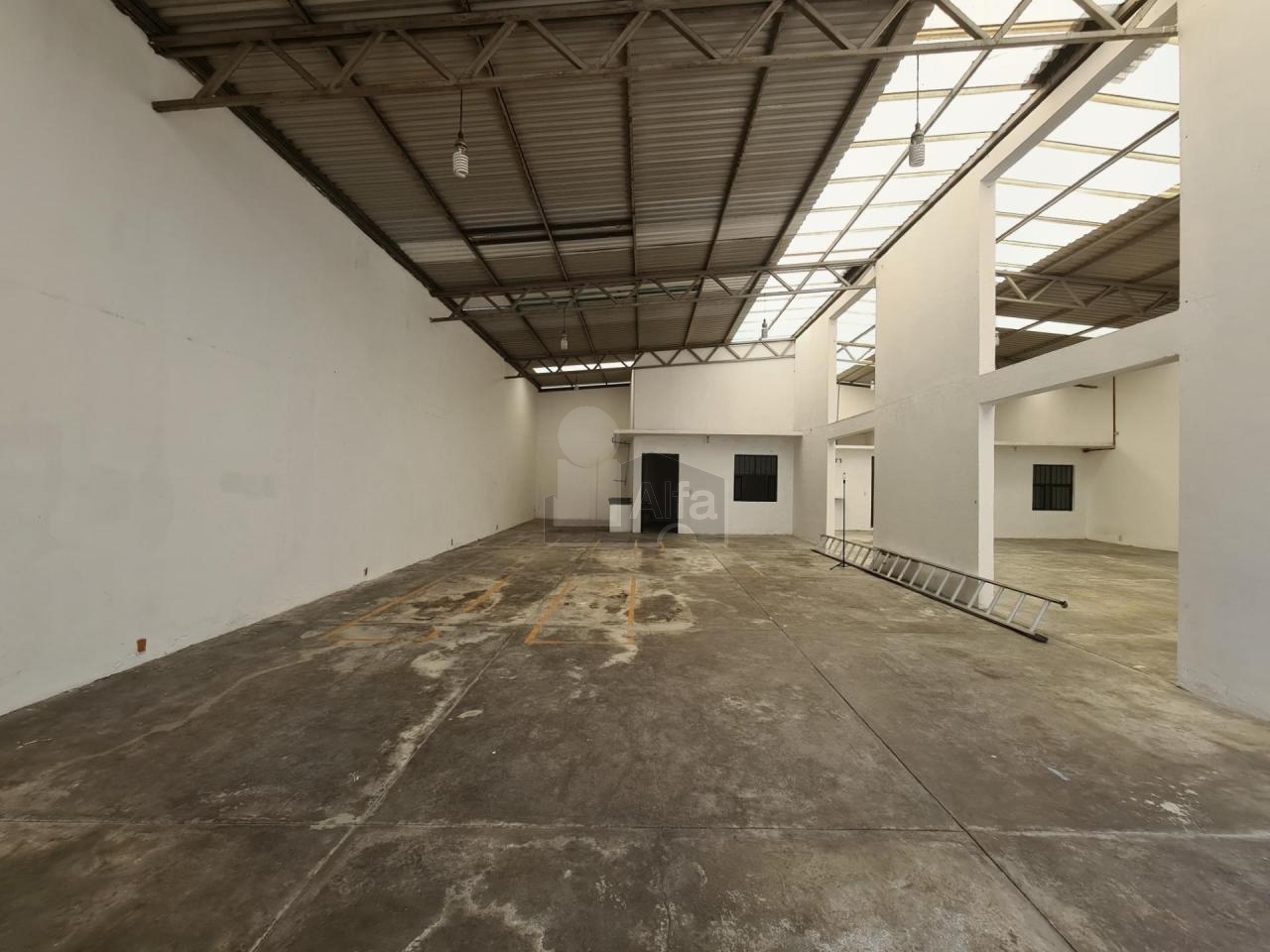 bg