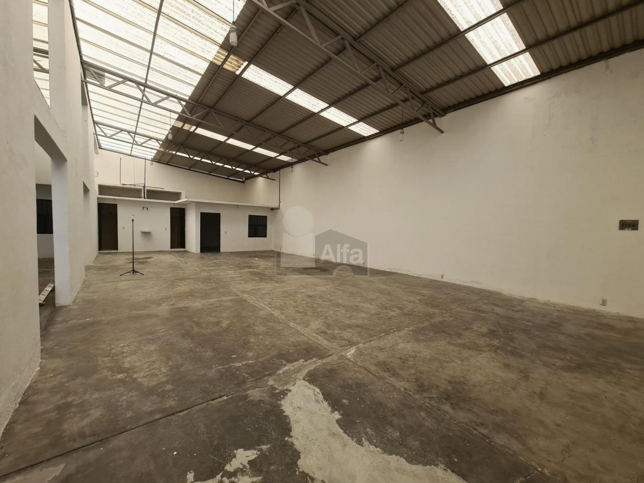 bg