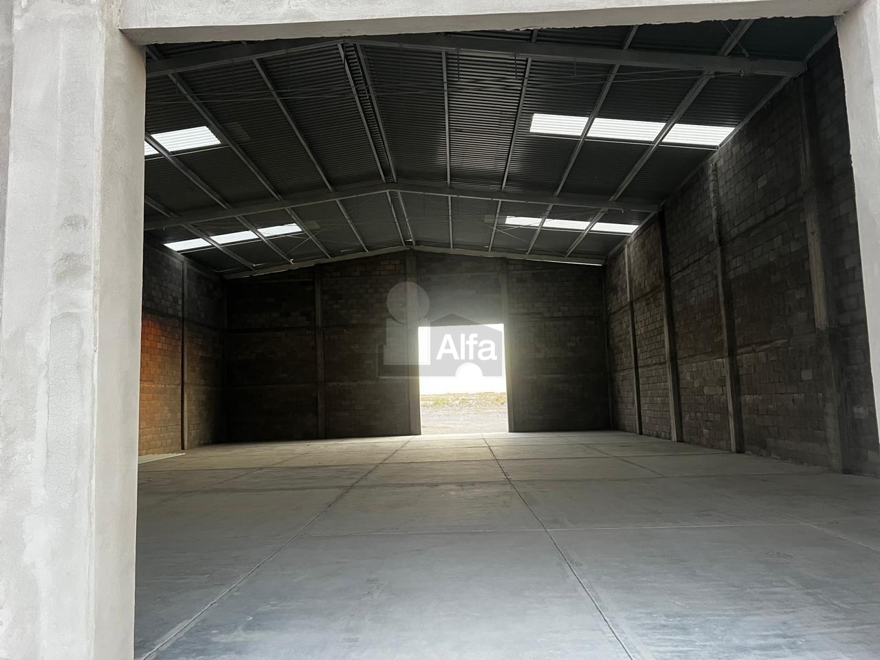 bg
